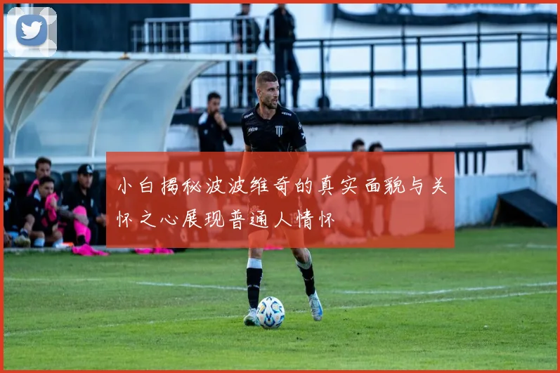 小白揭秘波波维奇的真实面貌与关怀之心展现普通人情怀
