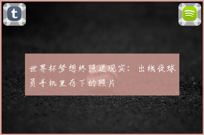 世界杯梦想终照进现实:出线夜球员手机里存下的照片