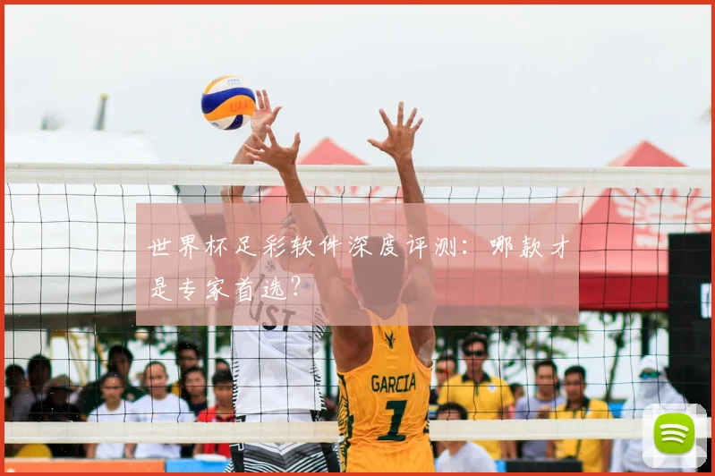 世界杯足彩软件深度评测：哪款才是专家首选？