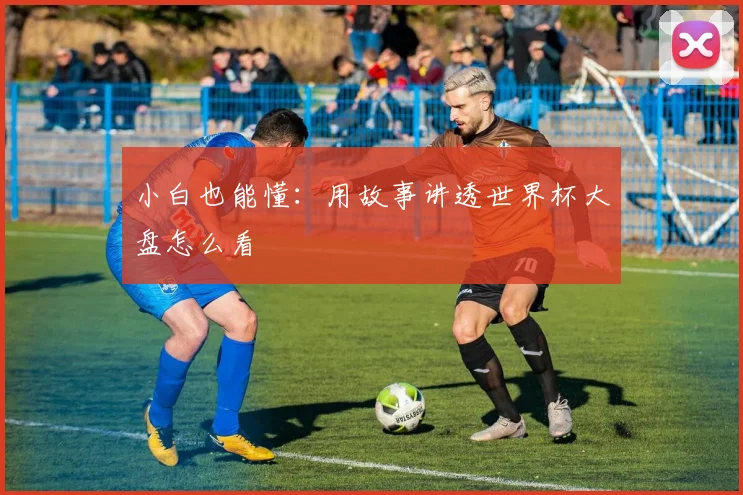 小白也能懂：用故事讲透世界杯大盘怎么看