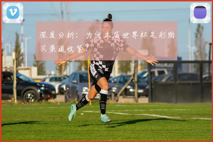 深度分析:为何本届世界杯足彩购买渠道收紧?