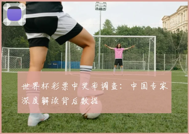世界杯彩票中奖率调查:中国专家深度解读背后数据
