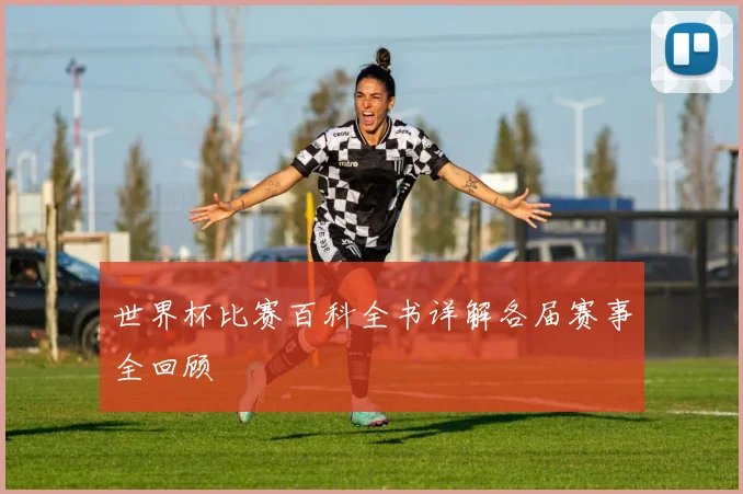 世界杯比赛百科全书详解各届赛事全回顾