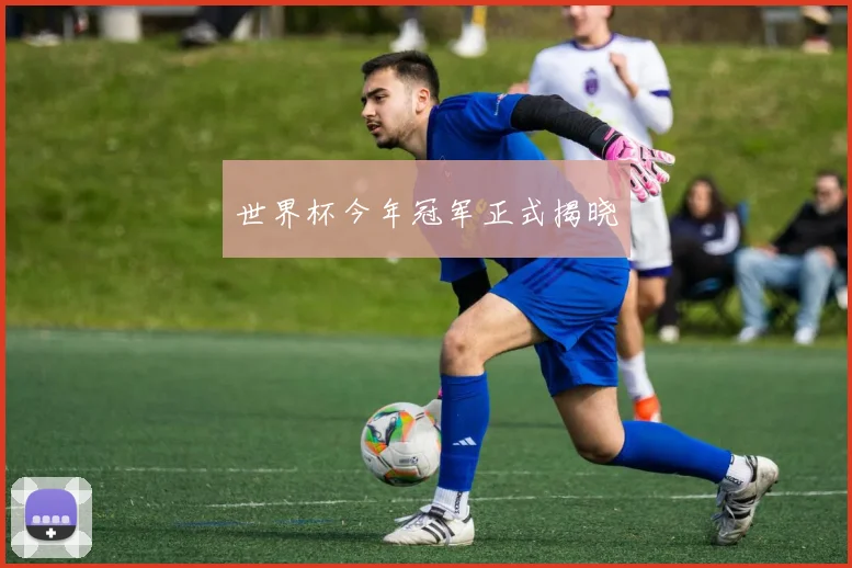 世界杯今年冠军正式揭晓
