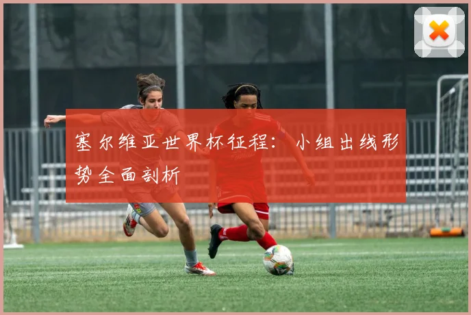 塞尔维亚世界杯征程：小组出线形势全面剖析