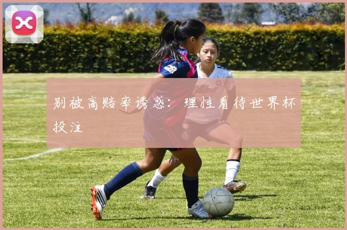 别被高赔率诱惑：理性看待世界杯投注