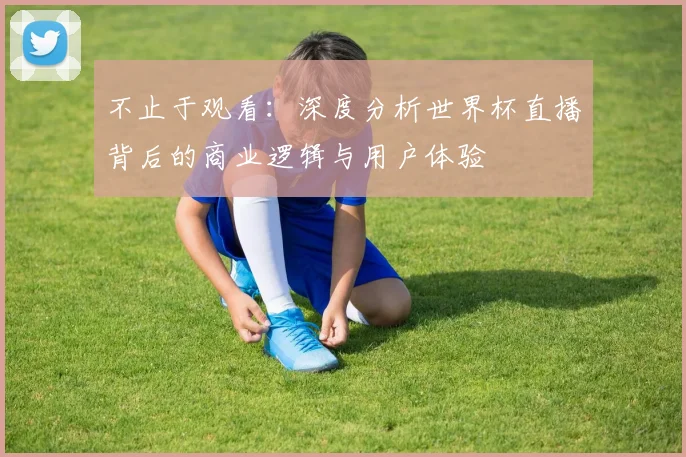 不止于观看：深度分析世界杯直播背后的商业逻辑与用户体验