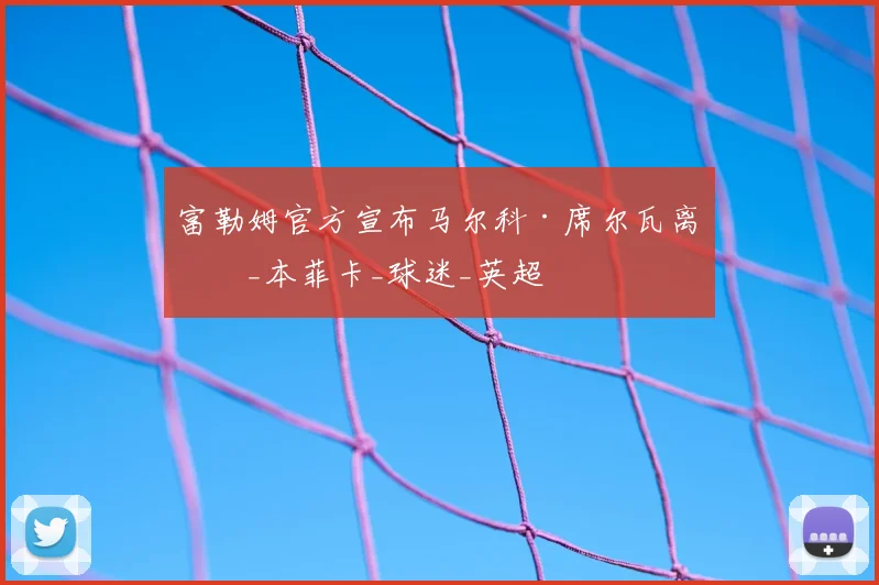 富勒姆官方宣布马尔科·席尔瓦离任_本菲卡_球迷_英超
